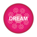 Dream