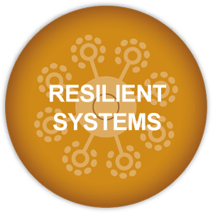 Resilient Systems